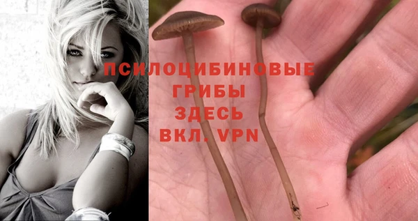 герыч Коряжма