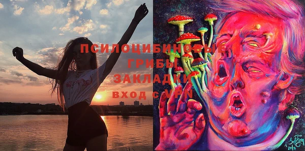 СК Корсаков