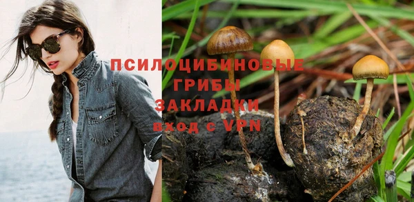 СК Корсаков