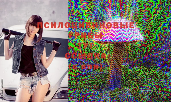 дурь Костерёво