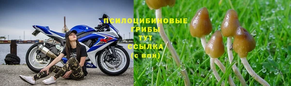 дурь Костерёво